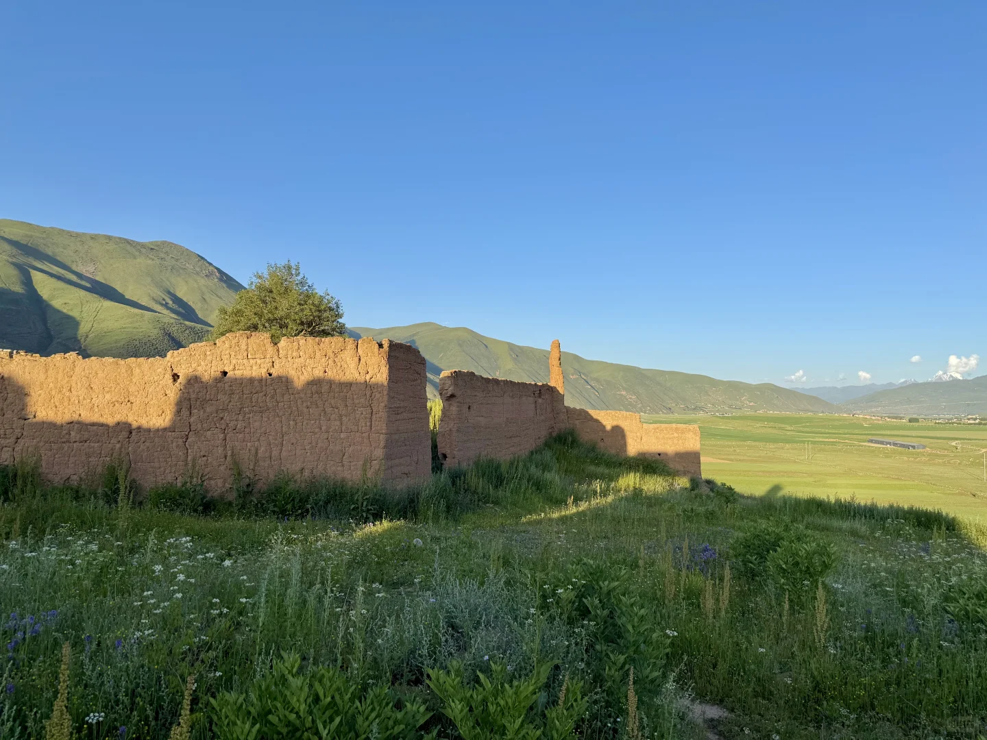 这就是，川西夏天的含金量live