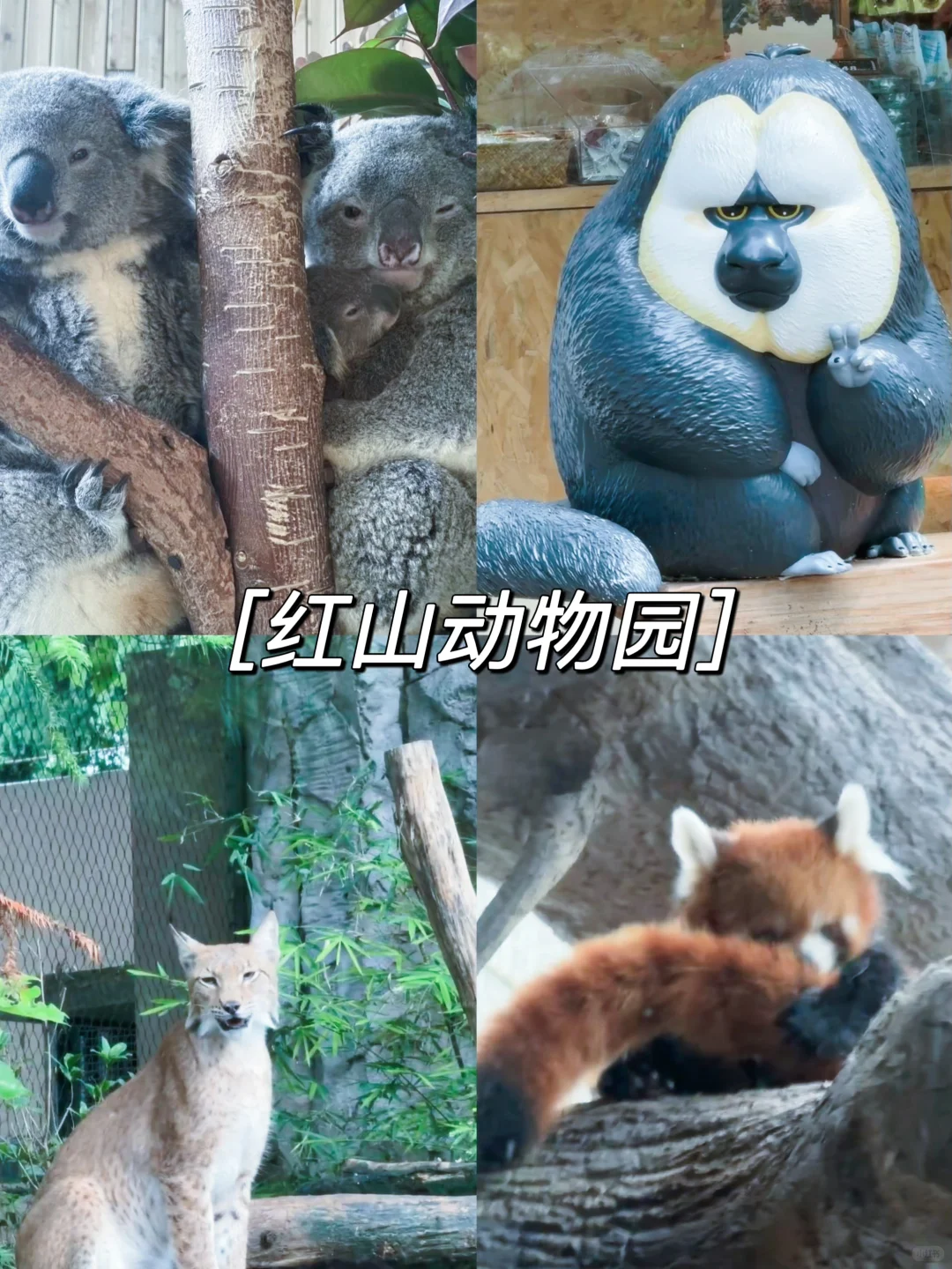 🌟南京Citywalk路线 | 3天2晚保姆级攻略❗️