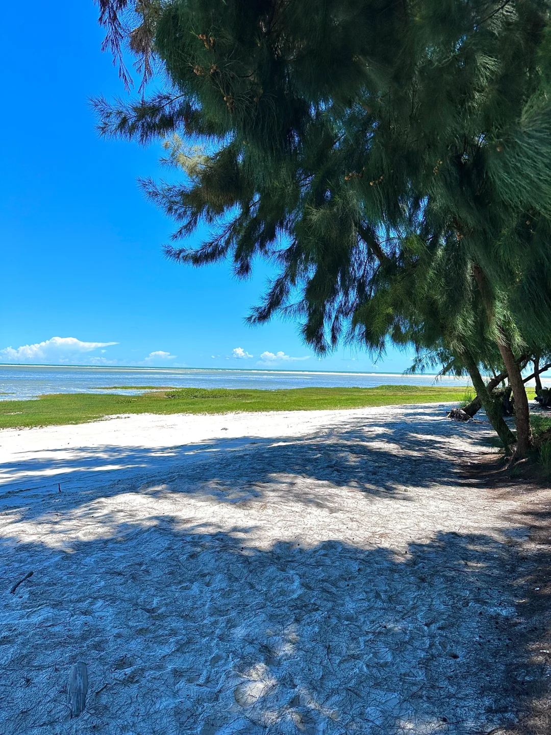 本J人对自己做的北海旅游复盘甚是满意🥹…
