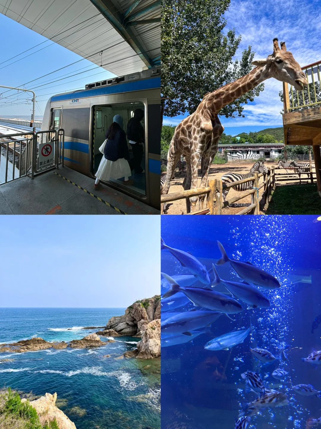 第一次来大连跟我这个攻略玩就对了！！！！