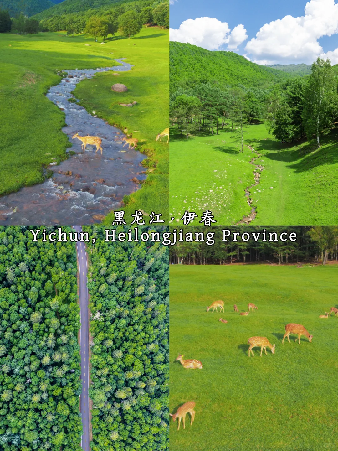 中国避暑胜地｜China Summer Destinations