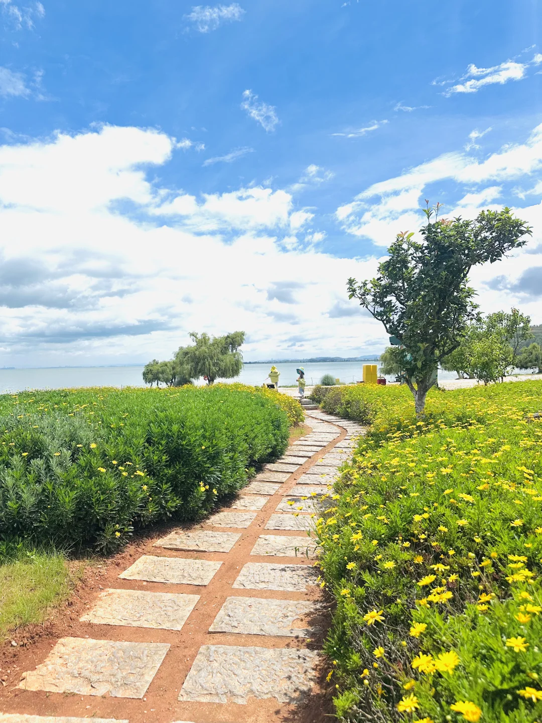 给昆明多留一天简直惊为天人！攻略丝滑哭了