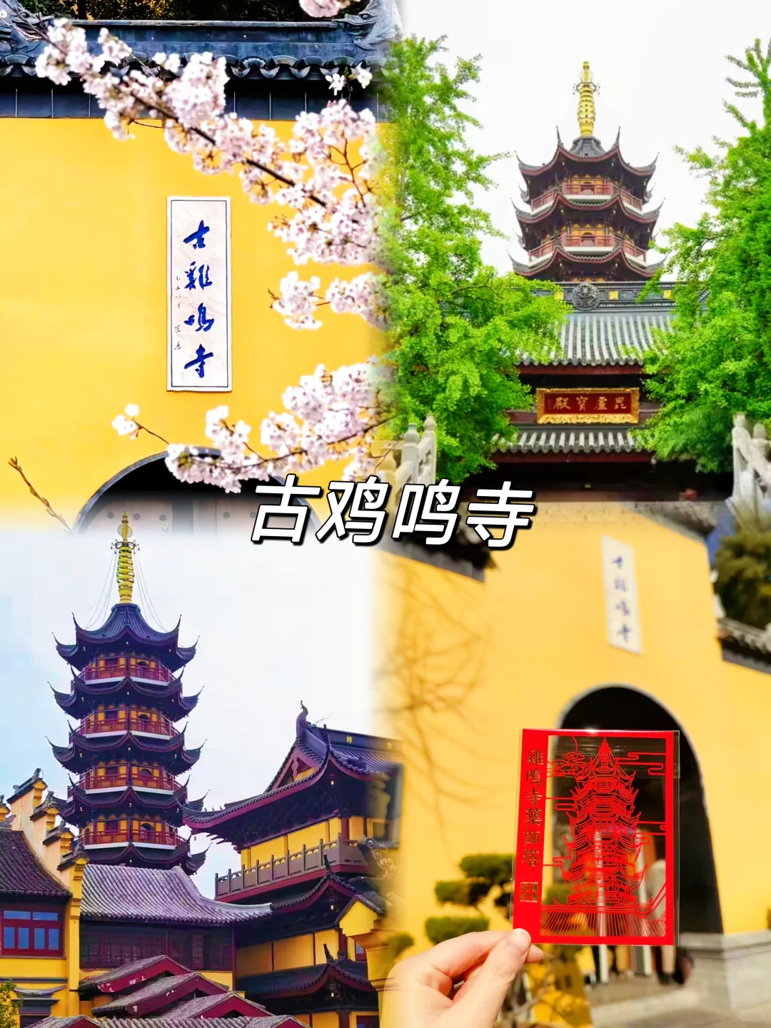 人均500💰南京超详细吃住行攻略❗直接抄