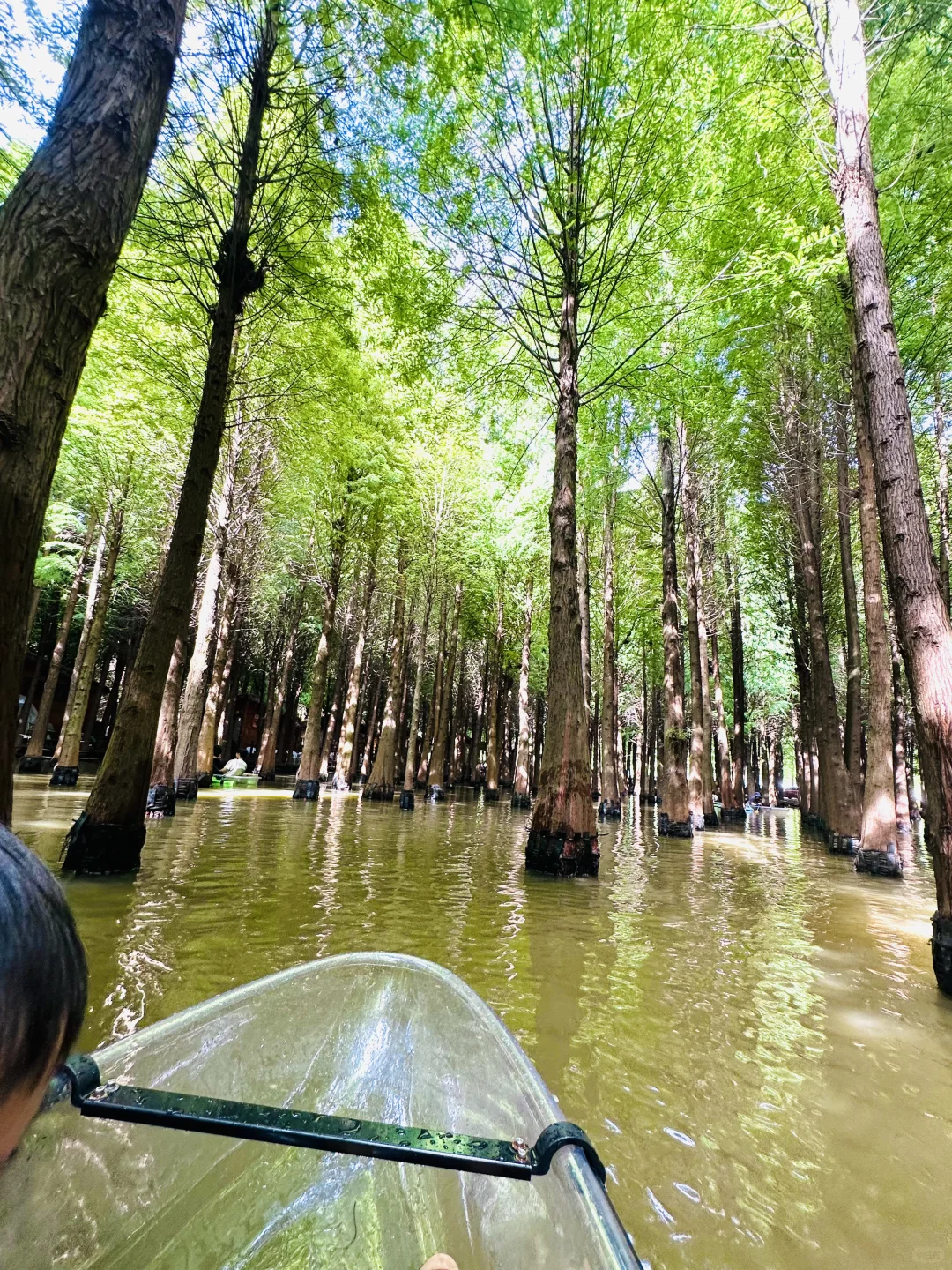 给昆明多留一天简直惊为天人！攻略丝滑哭了