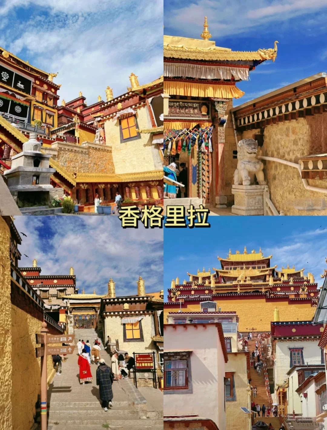 🌴云南旅游攻略✨让你玩得尽兴又省钱