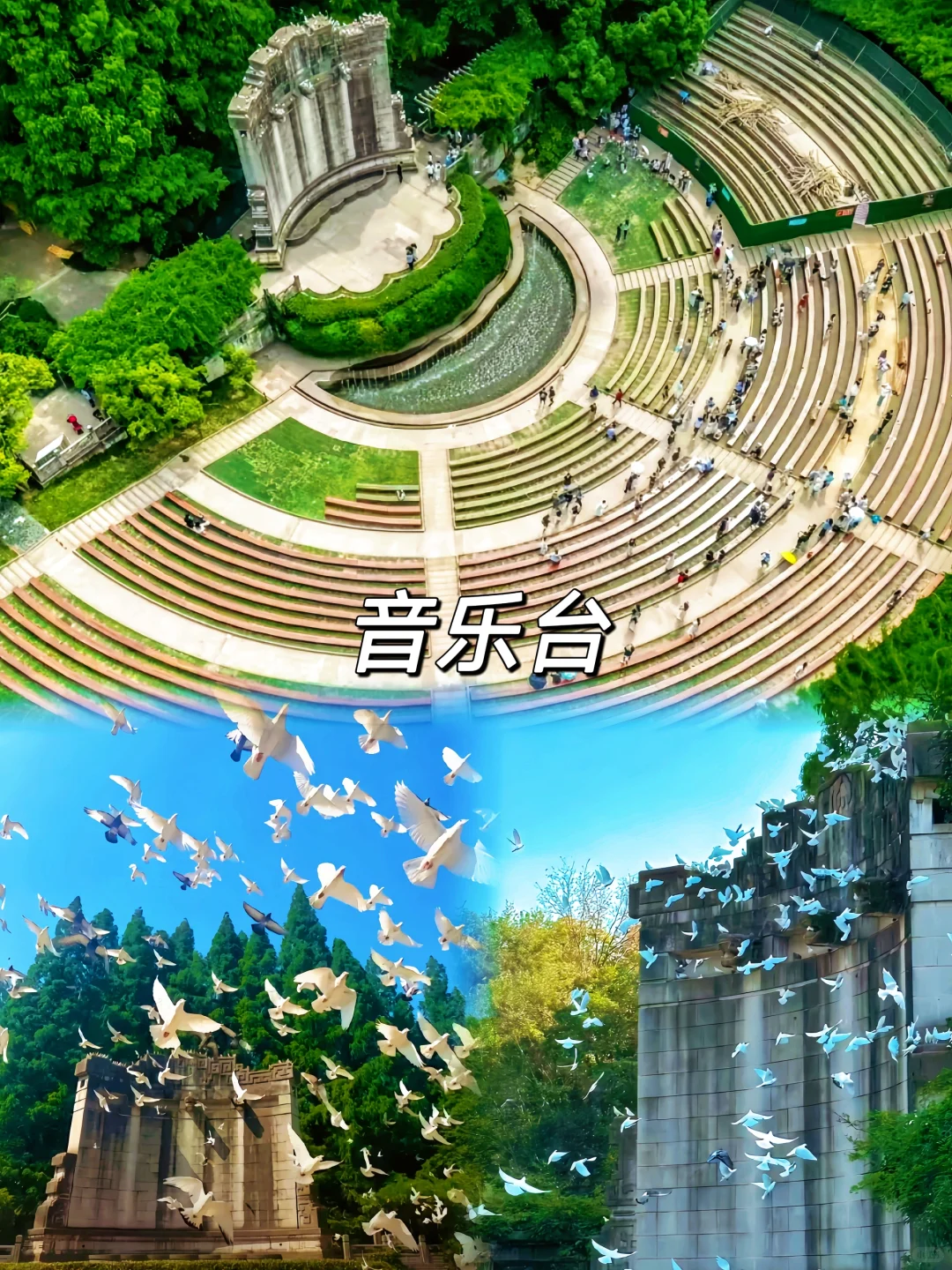 人均500💰南京超详细吃住行攻略❗直接抄