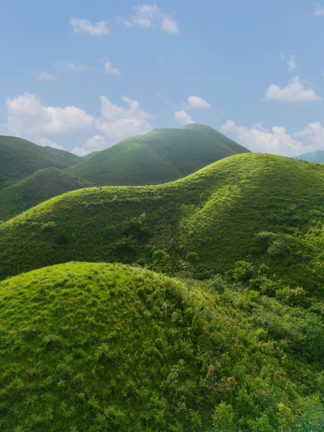 去过最冷门小城，藏在森林里的23℃避暑秘境