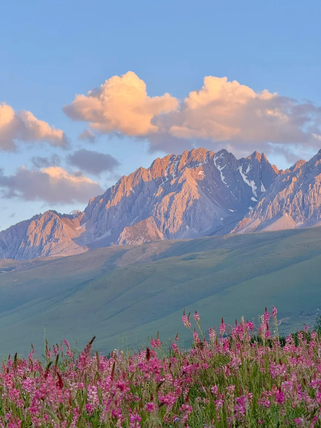 这就是，川西夏天的含金量live