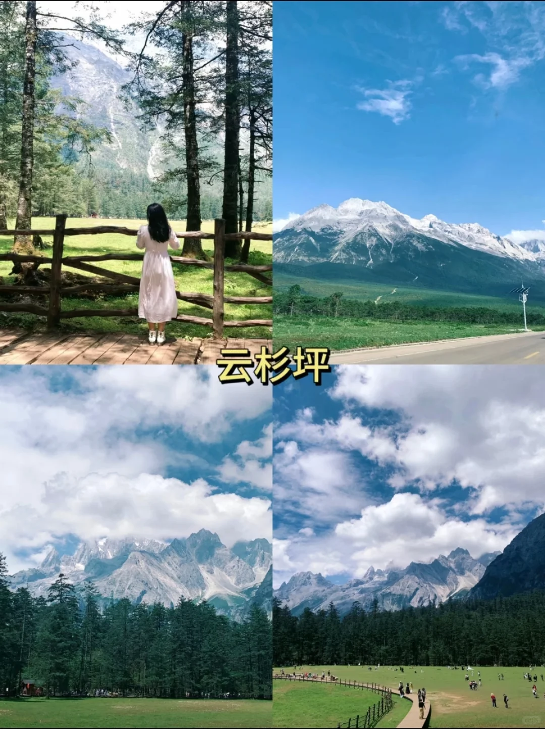 🌴云南旅游攻略✨让你玩得尽兴又省钱