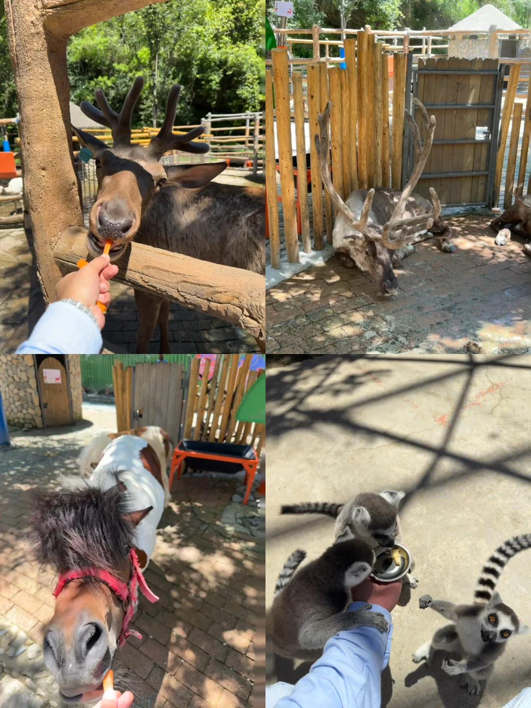 迄今为止!我最爱的避暑小镇出现了‼️