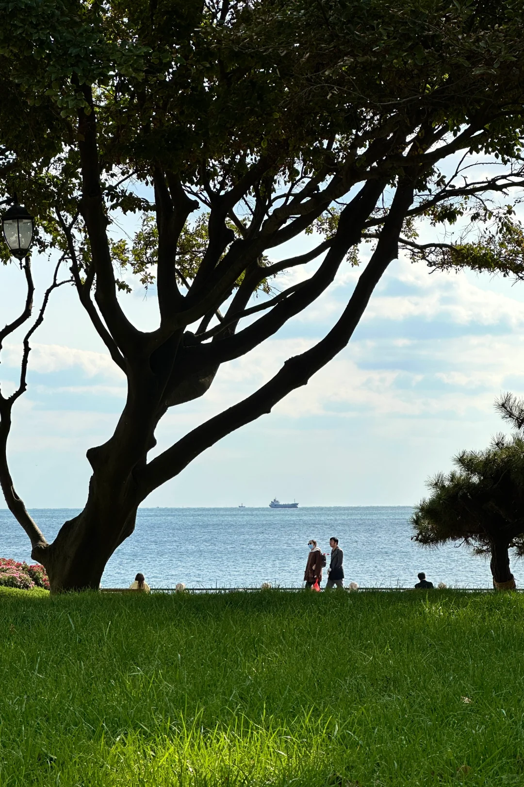 青岛高温高湿天气游玩攻略(本地土著整理)