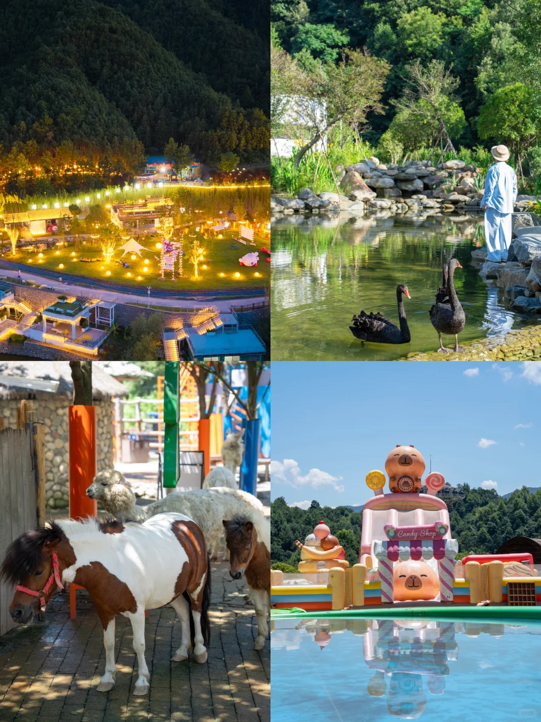 迄今为止!我最爱的避暑小镇出现了‼️