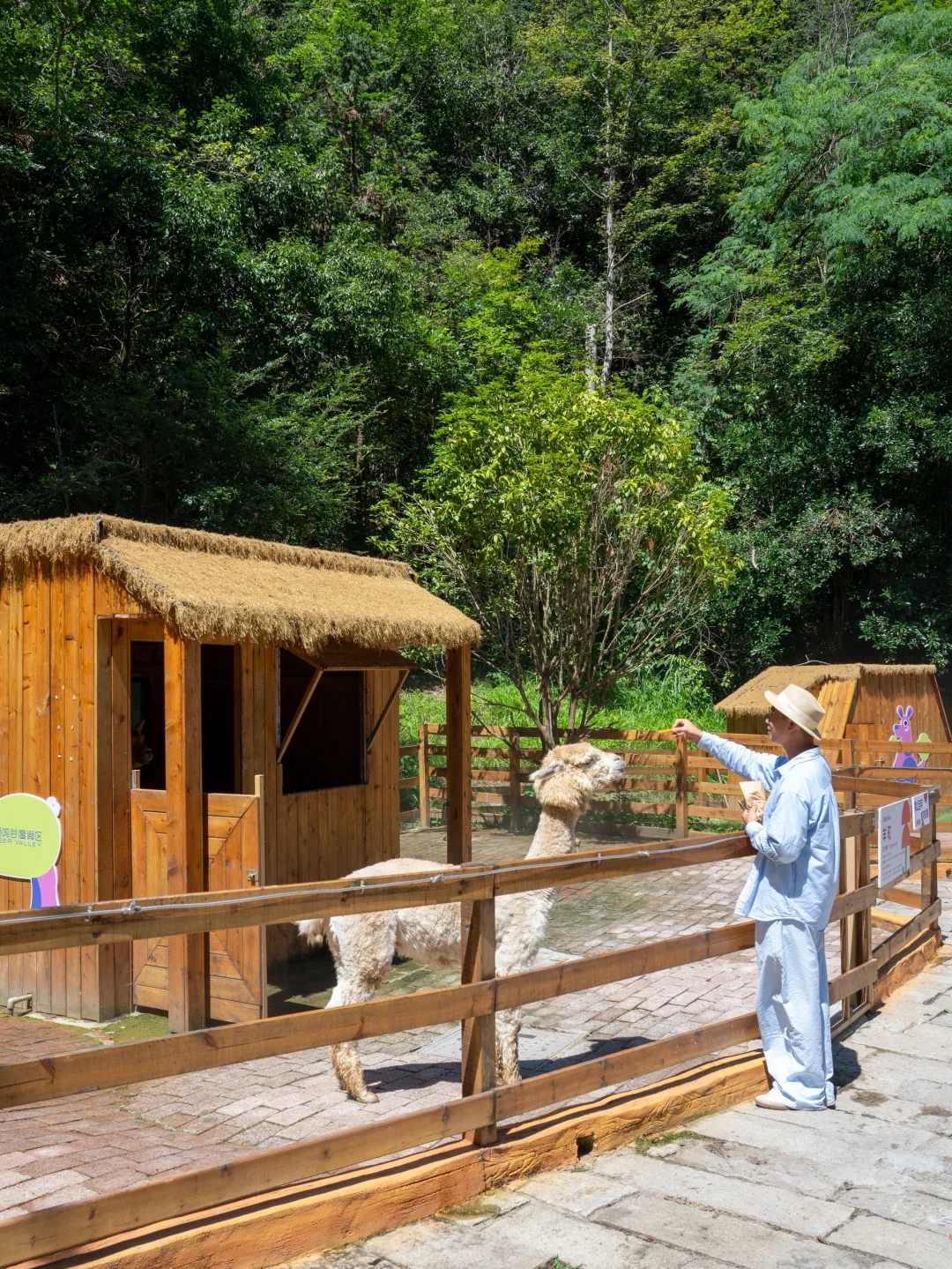 迄今为止!我最爱的避暑小镇出现了‼️