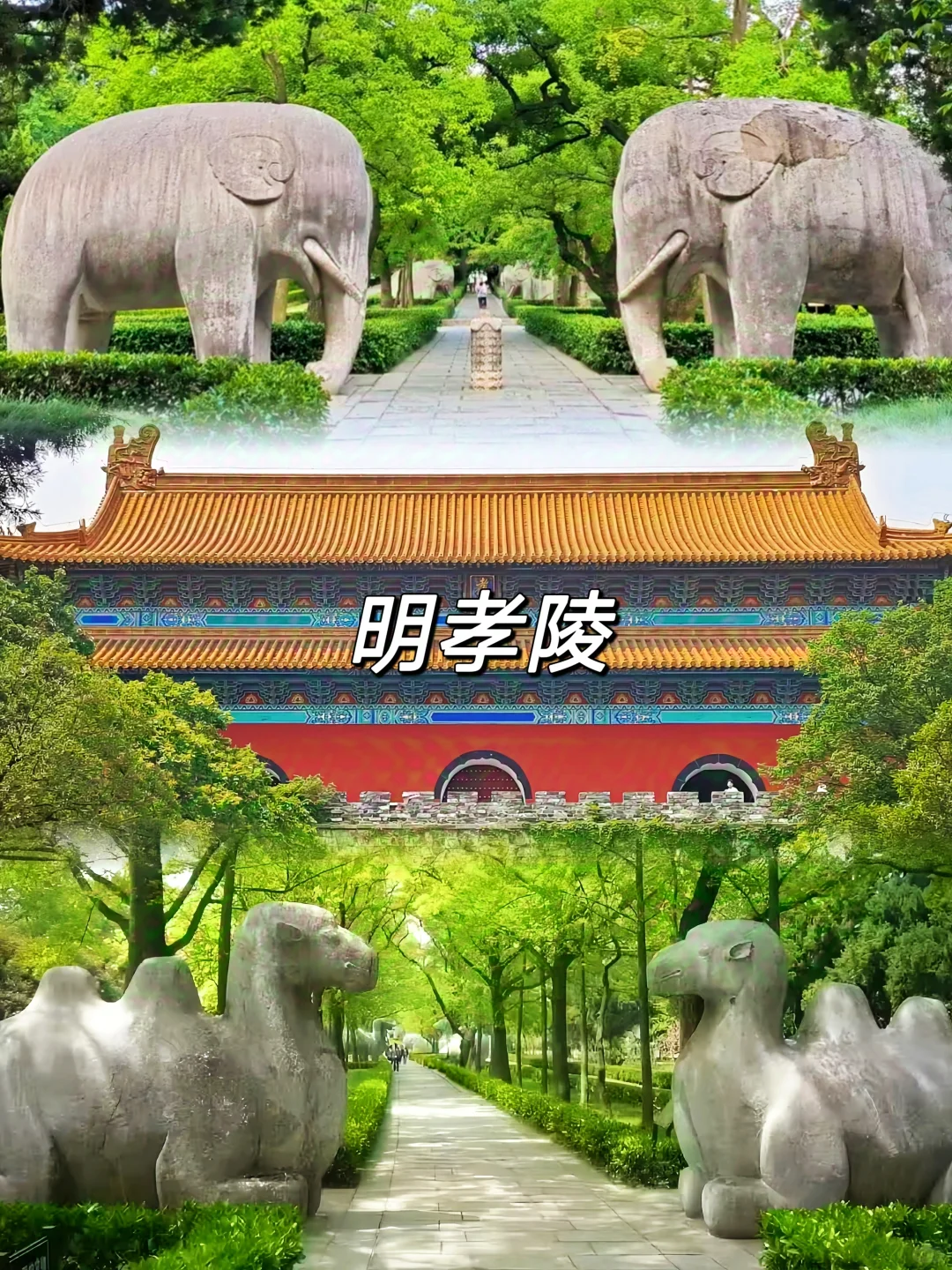 人均500💰南京超详细吃住行攻略❗直接抄