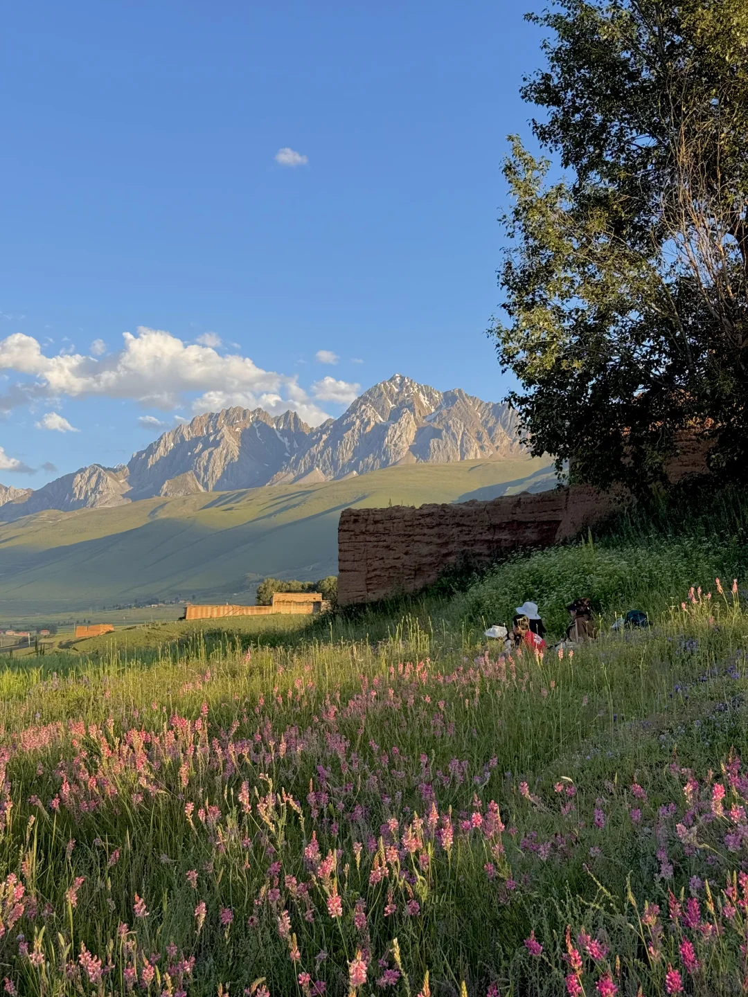 这就是，川西夏天的含金量live