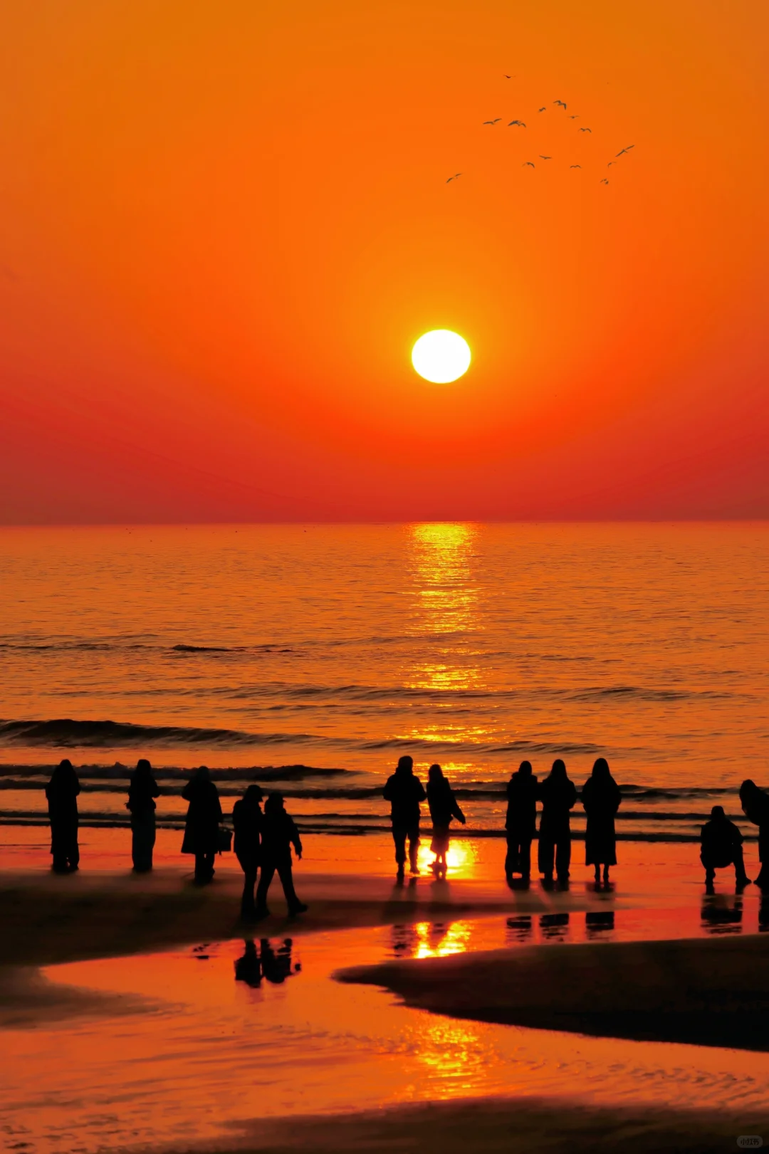 青岛高温高湿天气游玩攻略(本地土著整理)