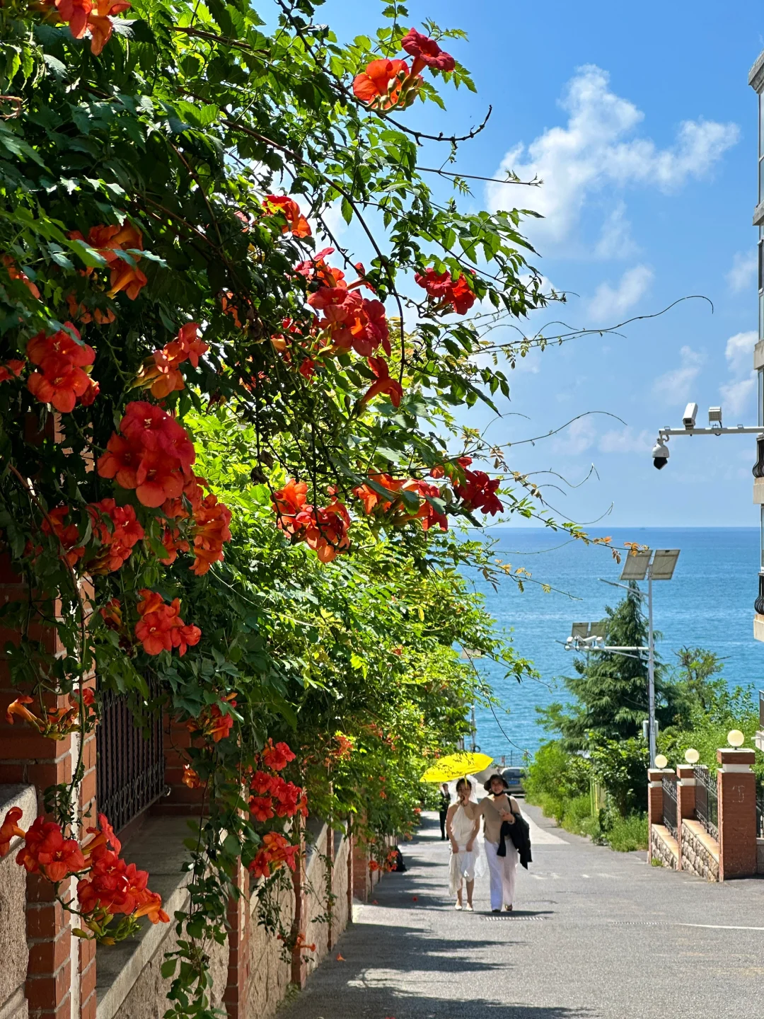 青岛高温高湿天气游玩攻略(本地土著整理)