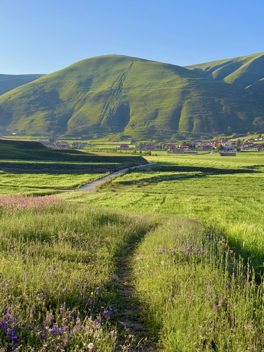 这就是，川西夏天的含金量live