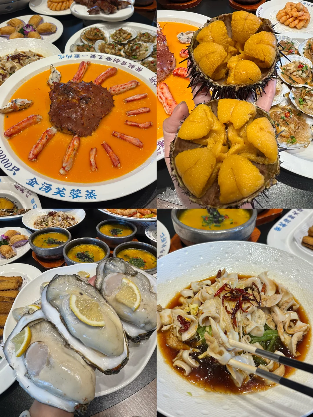 第一次来大连跟我这个攻略玩就对了！！！！