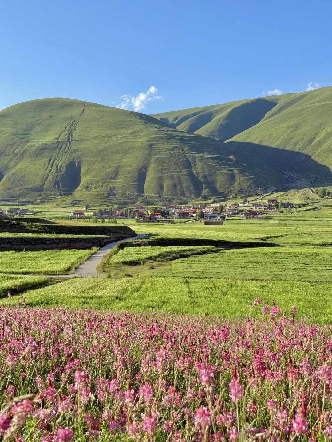 这就是，川西夏天的含金量live