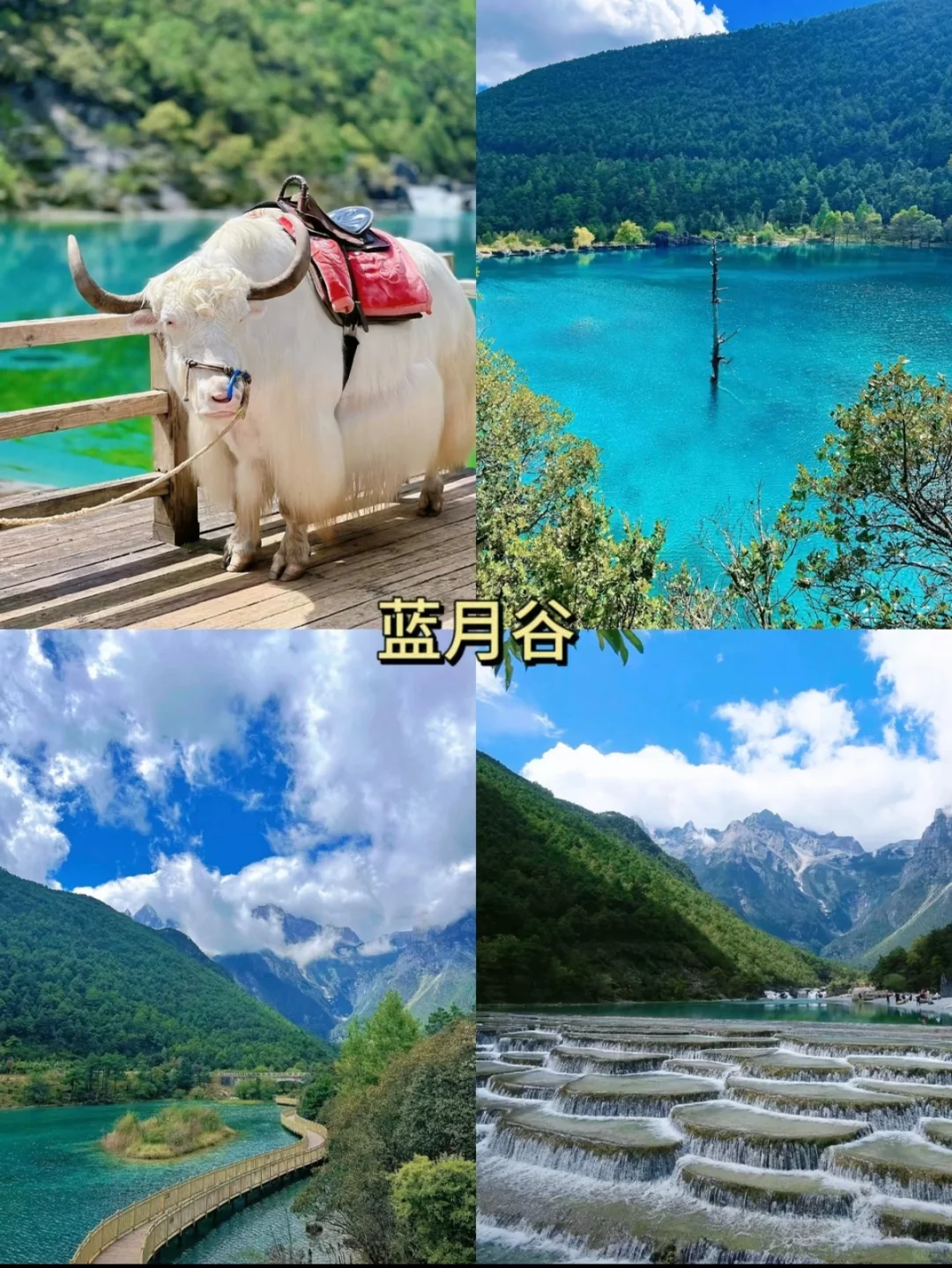 🌴云南旅游攻略✨让你玩得尽兴又省钱