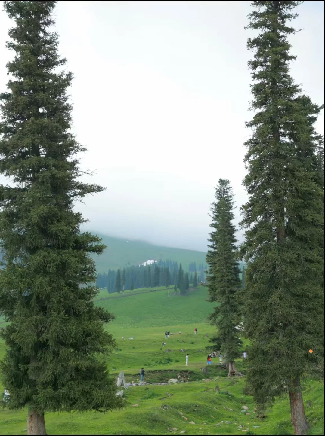 那拉提超全旅游攻略本地人私藏清单