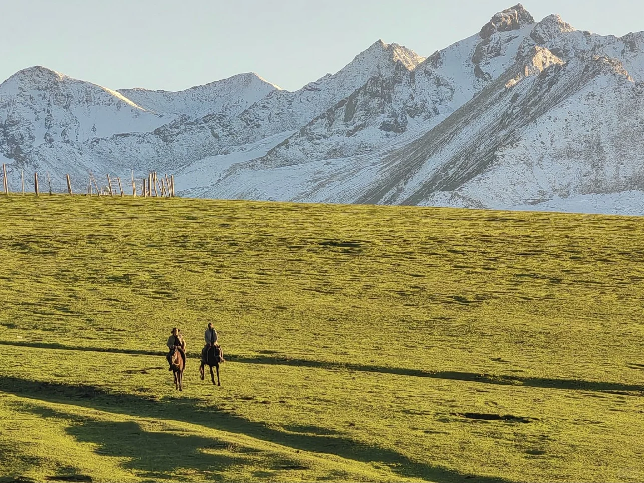 说真的，七月去新疆的都是大冤种
