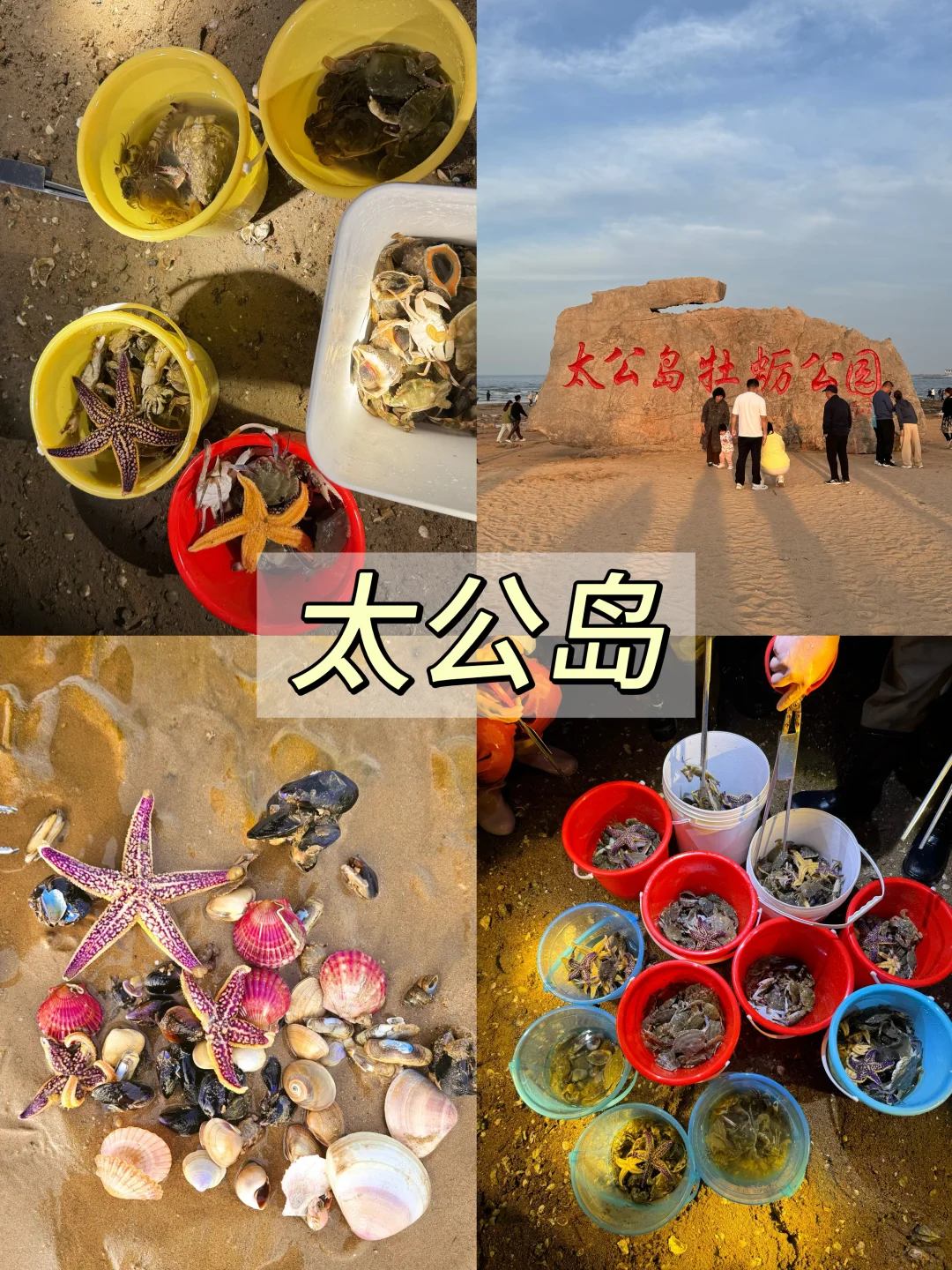 日照📍三天两晚，不走回头路保姆级逛吃攻略