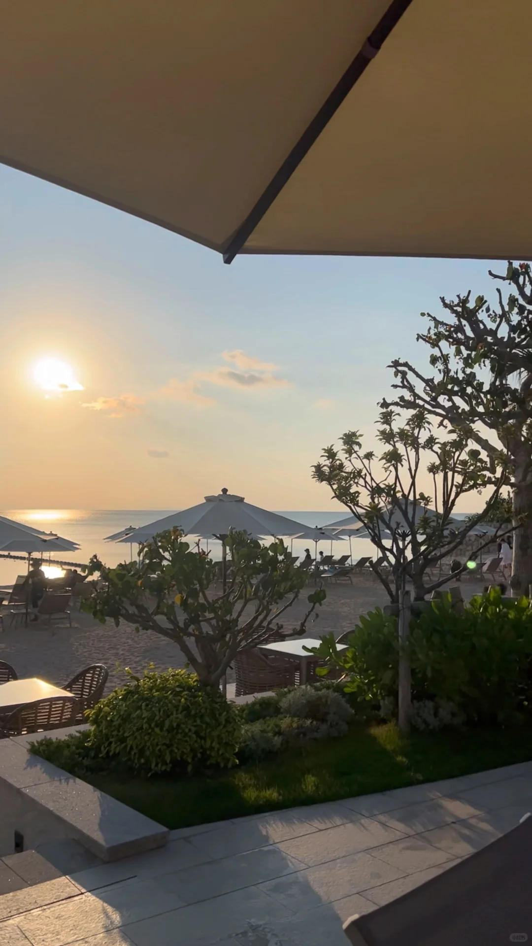 上海直飞一个小时40分钟的遛娃胜地