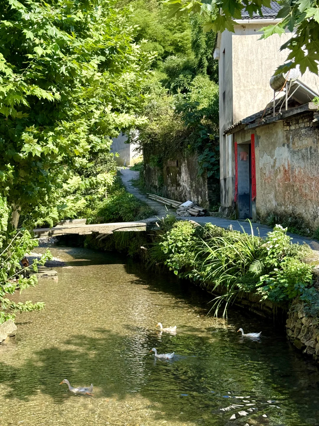 以为西湖已经够美了，直到我去了千岛湖…