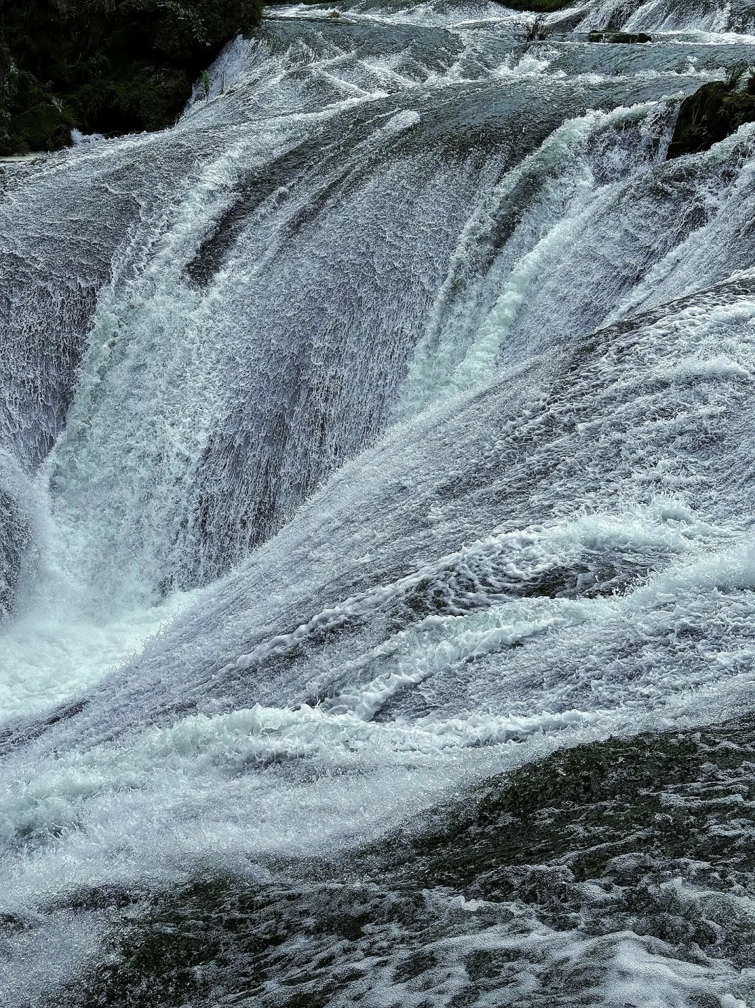 语文课本没有骗我！但也没告诉我…