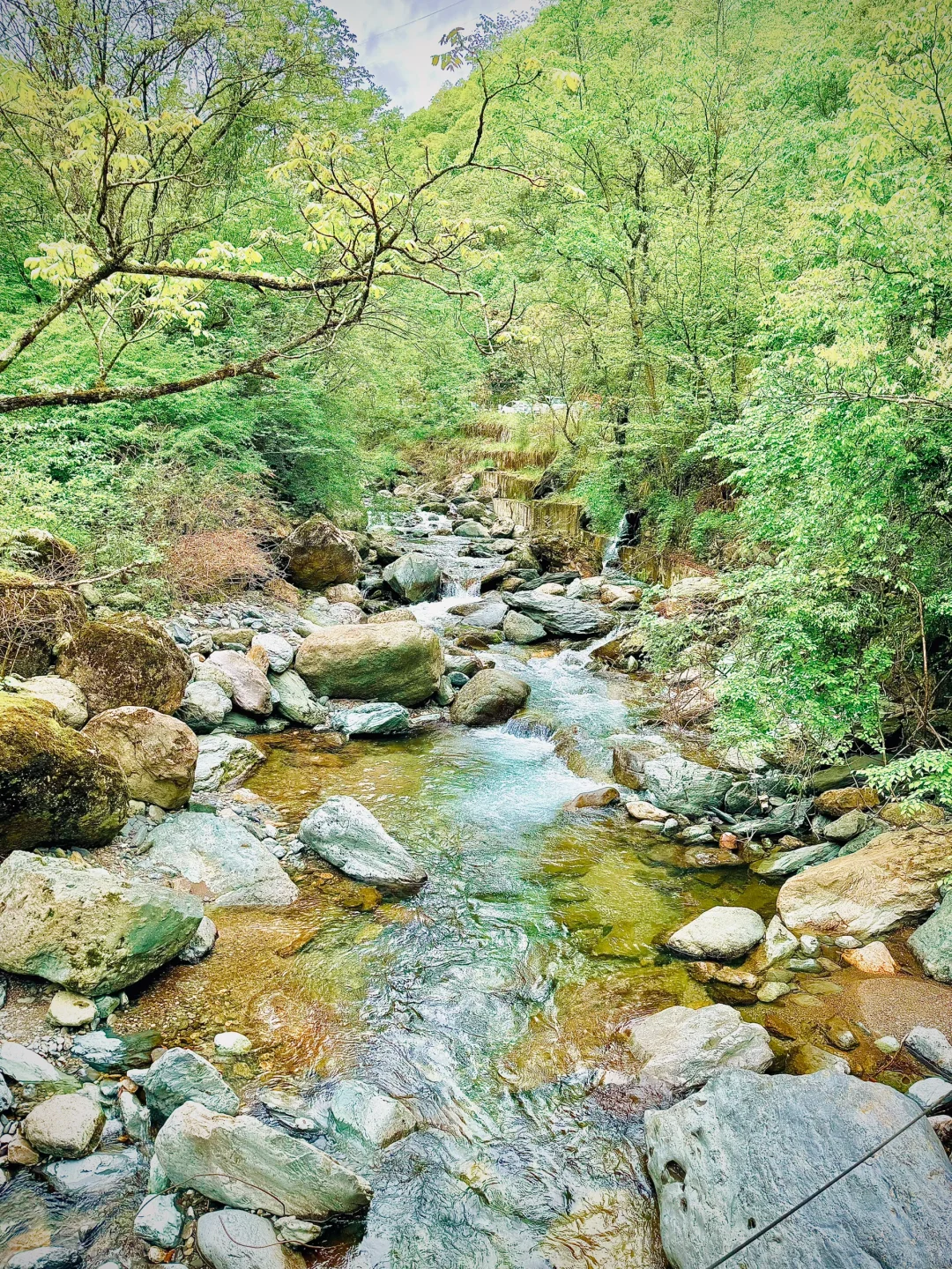 神农架 | 漫步迷雾森林，解锁华中屋脊的神秘