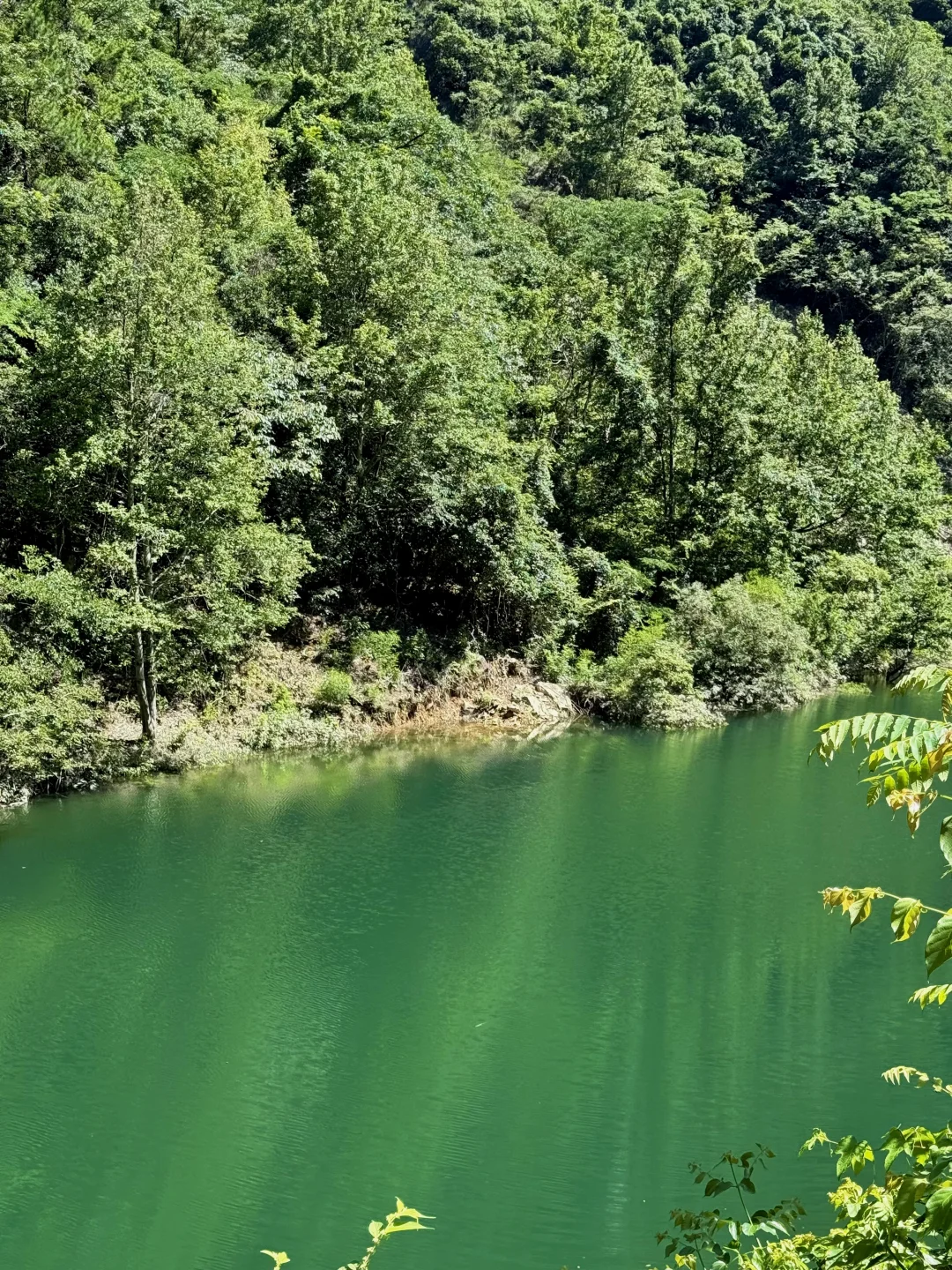 这里免费！浙江人有自己的仙本那！