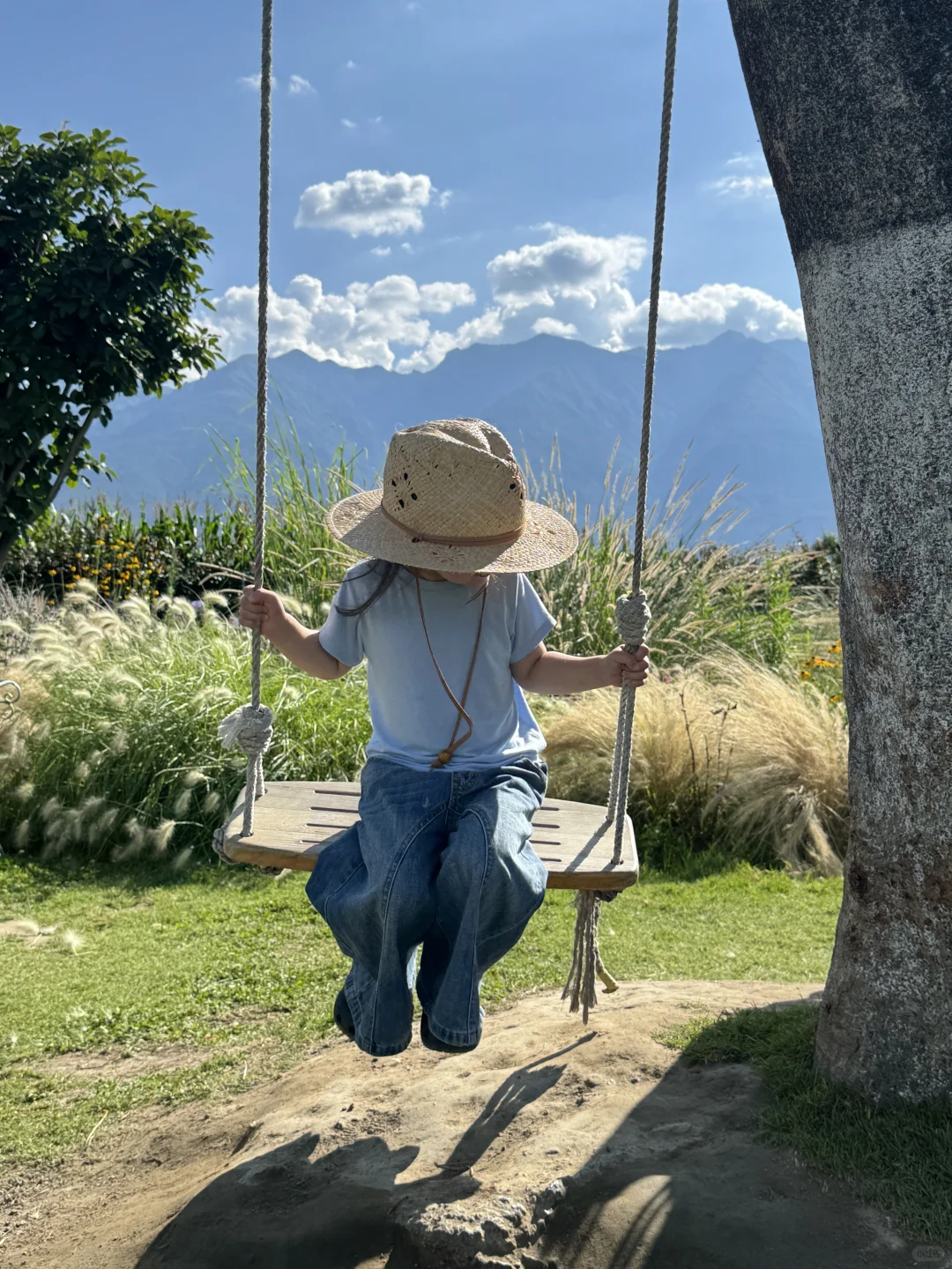 带娃去大理 不费妈的旅游攻略（一）🔥