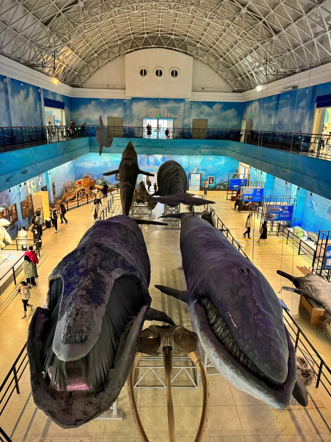 以为威海已经够美了，直到我去了大连……