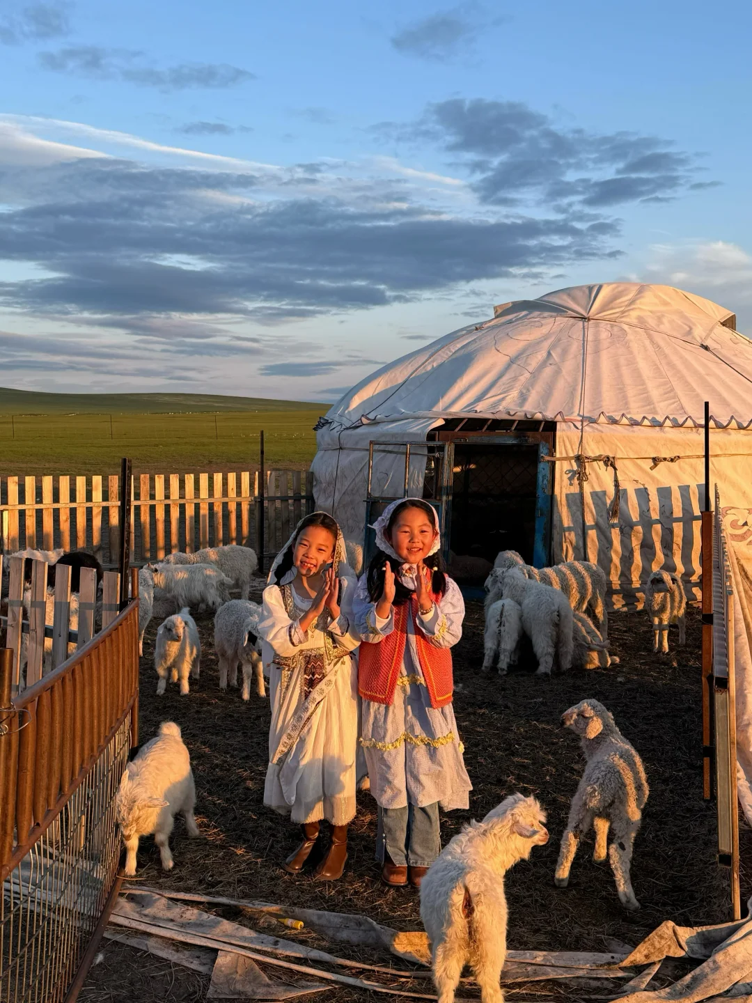 Live图|呼伦贝尔太适合带小胖友来玩了吧~