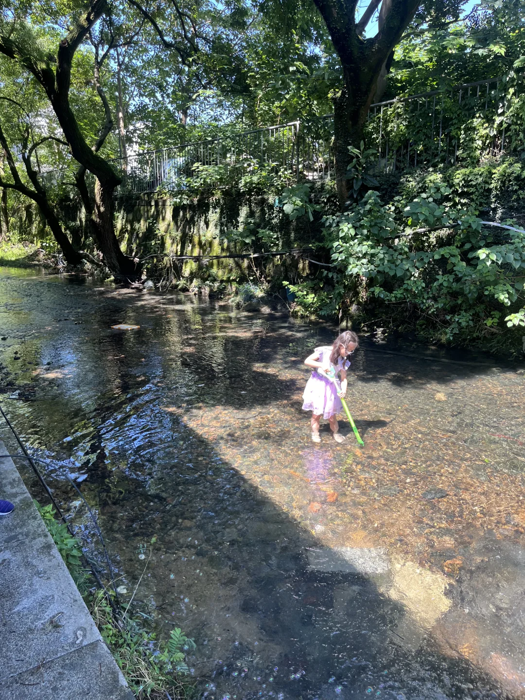 你敢相信？！这是西湖景区！水清人少玩水超棒