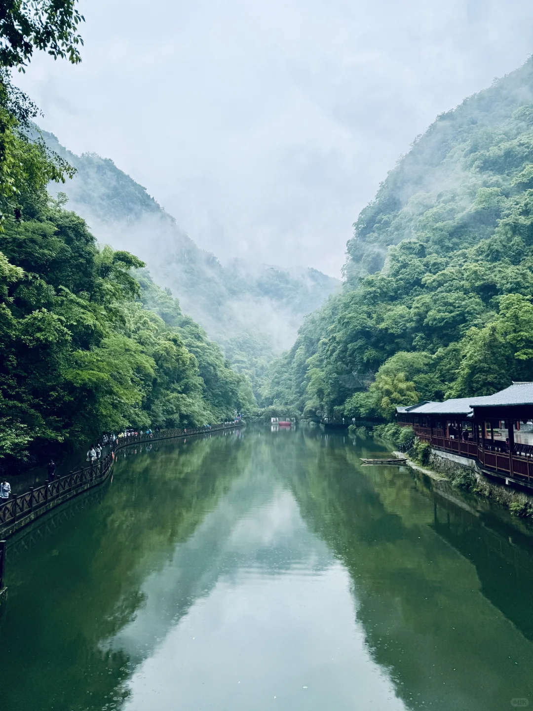 神农架 | 漫步迷雾森林，解锁华中屋脊的神秘