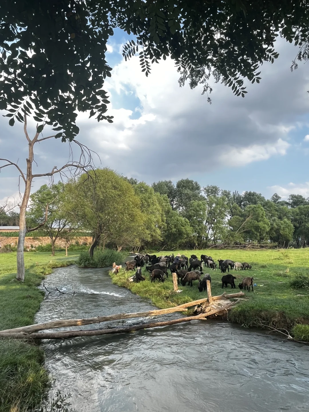 属于河北人自己的阿勒泰