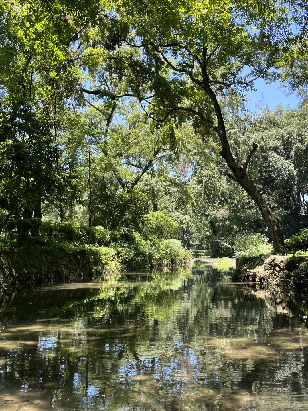 你敢相信？！这是西湖景区！水清人少玩水超棒
