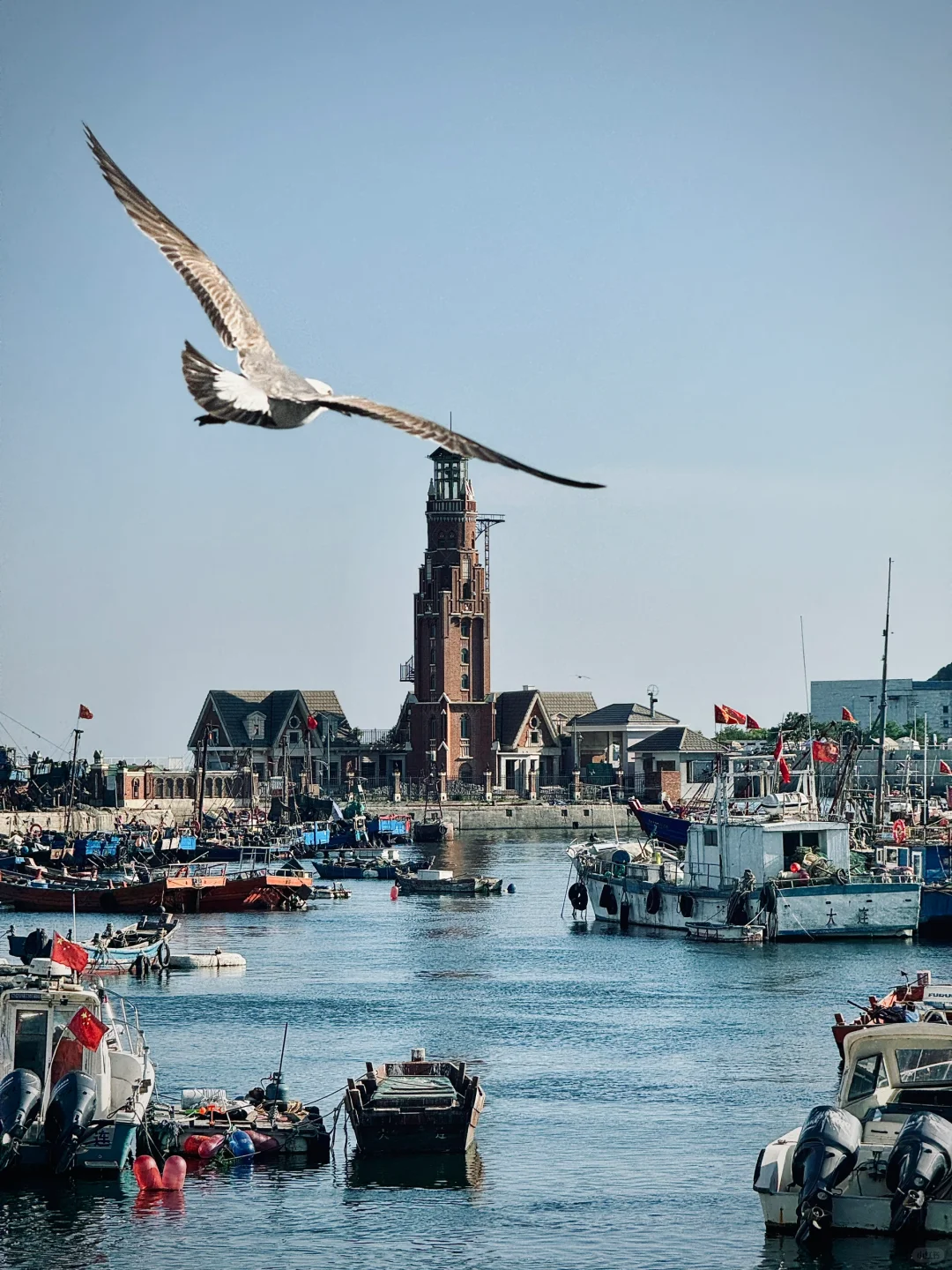 以为威海已经够美了，直到我去了大连……