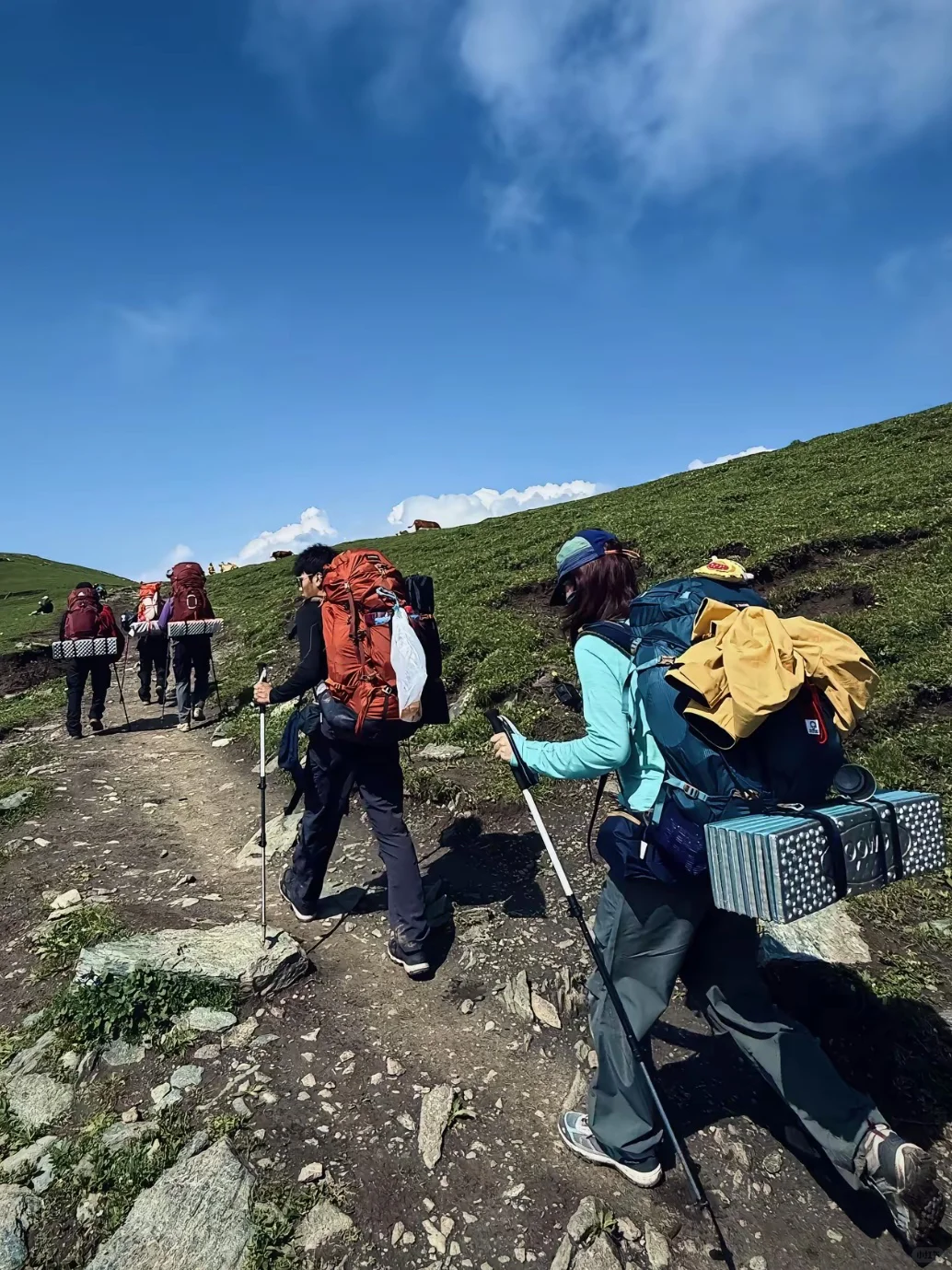 全网呼叫00后旅游搭子🗣️同龄人才好玩