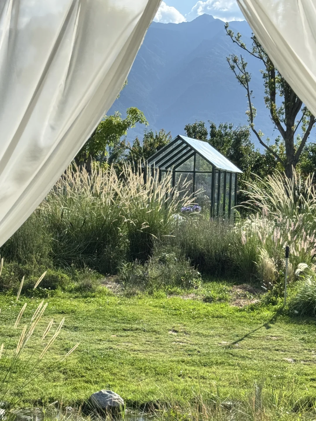 带娃去大理 不费妈的旅游攻略（一）🔥