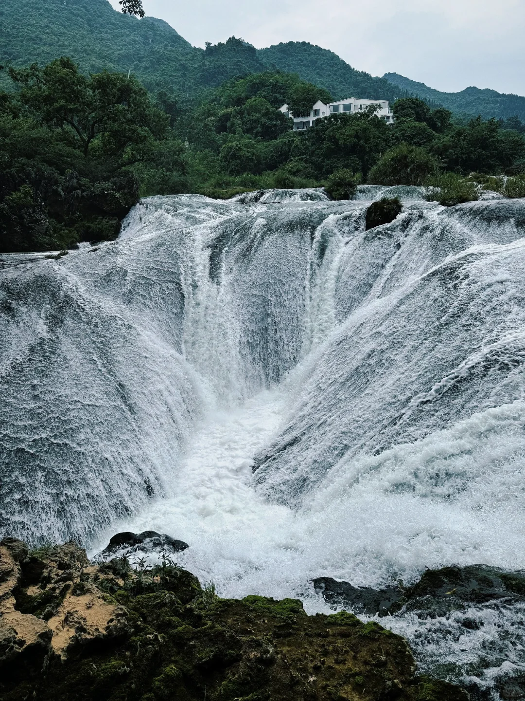 语文课本没有骗我！但也没告诉我…
