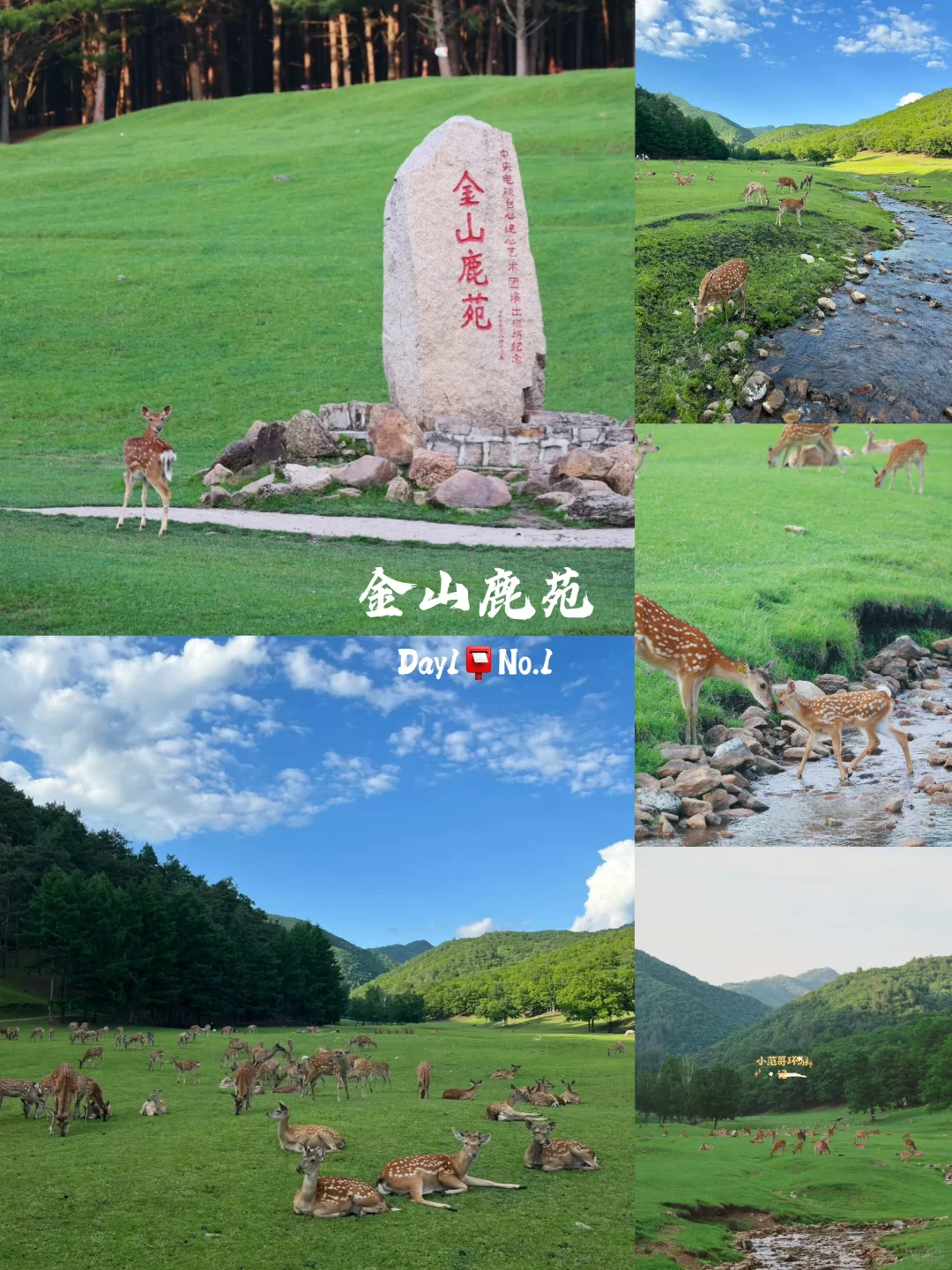 一年去100座城市🎉第98站📍 伊春✅