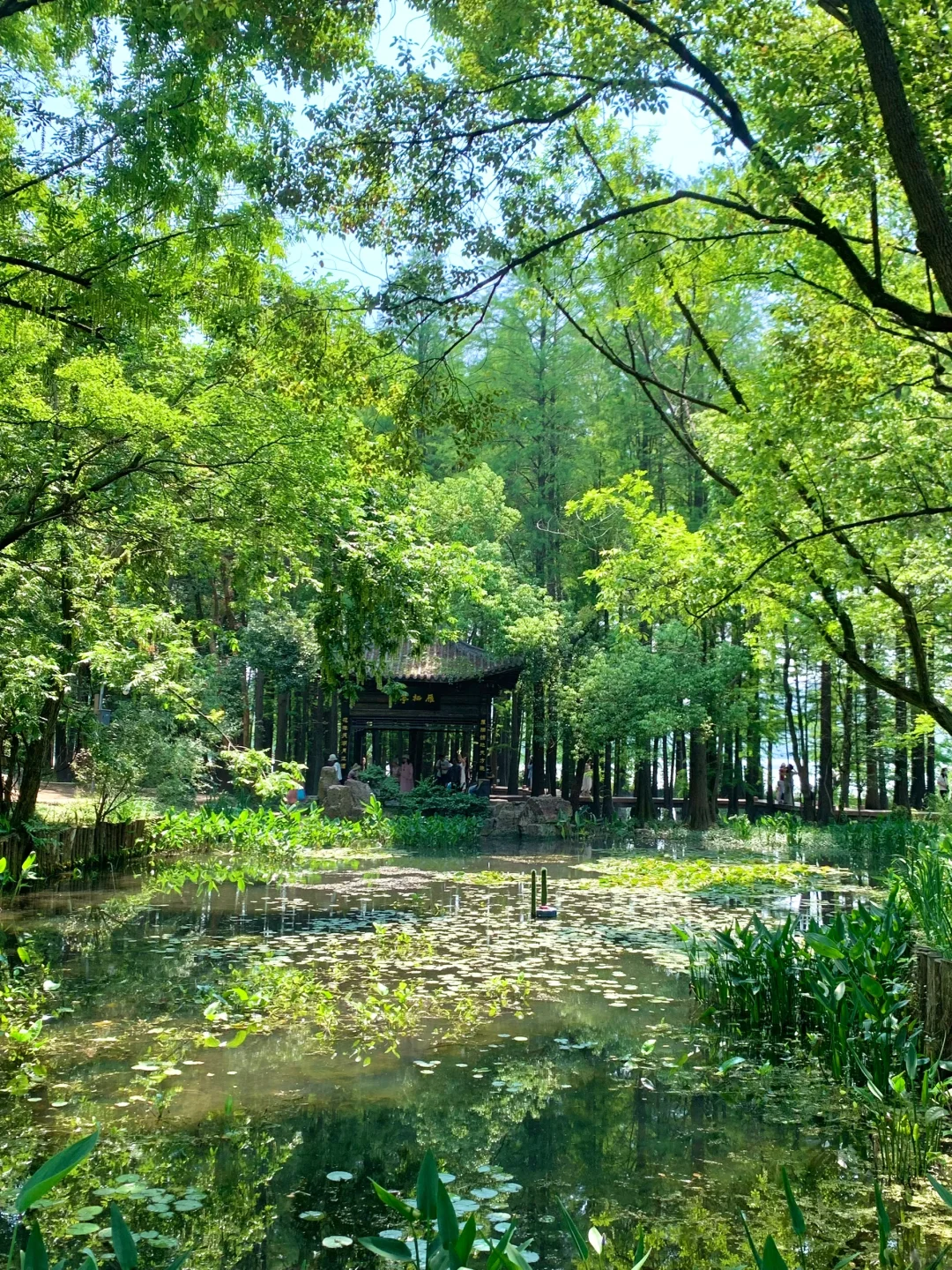 🌴在武汉…花得最值的13r（附N个机位详细攻略