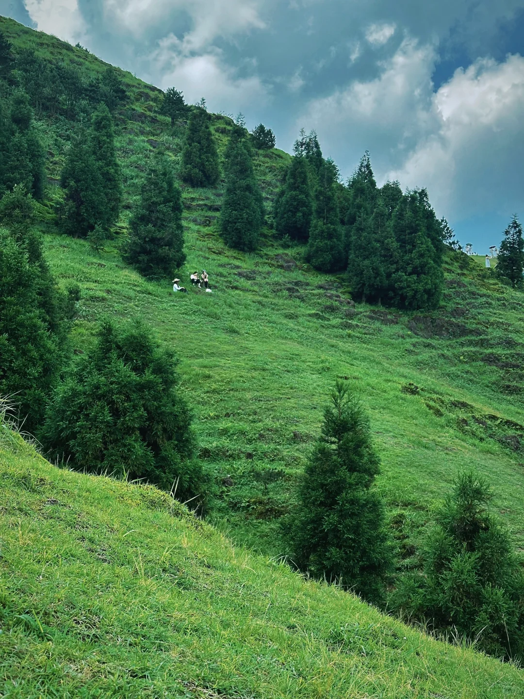 郴州 | 仰天湖大草原🌱