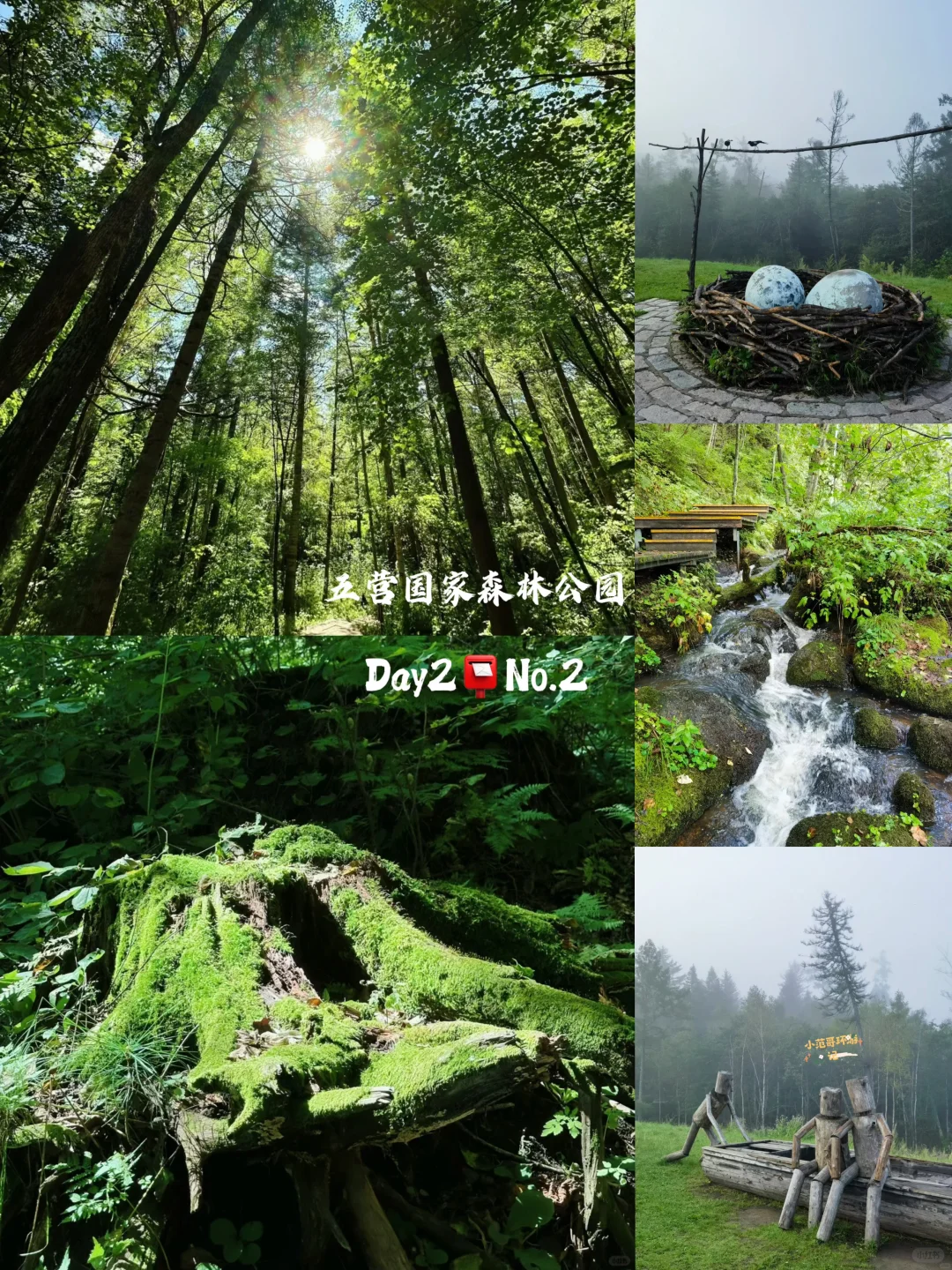 一年去100座城市🎉第98站📍 伊春✅