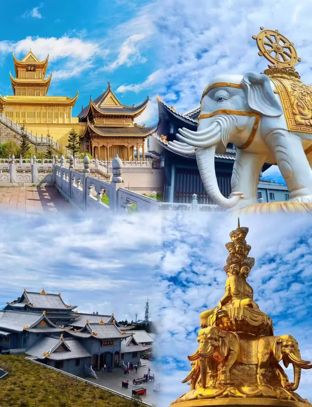 四川家庭游攻略：5 天 4 晚人均 1000+💖