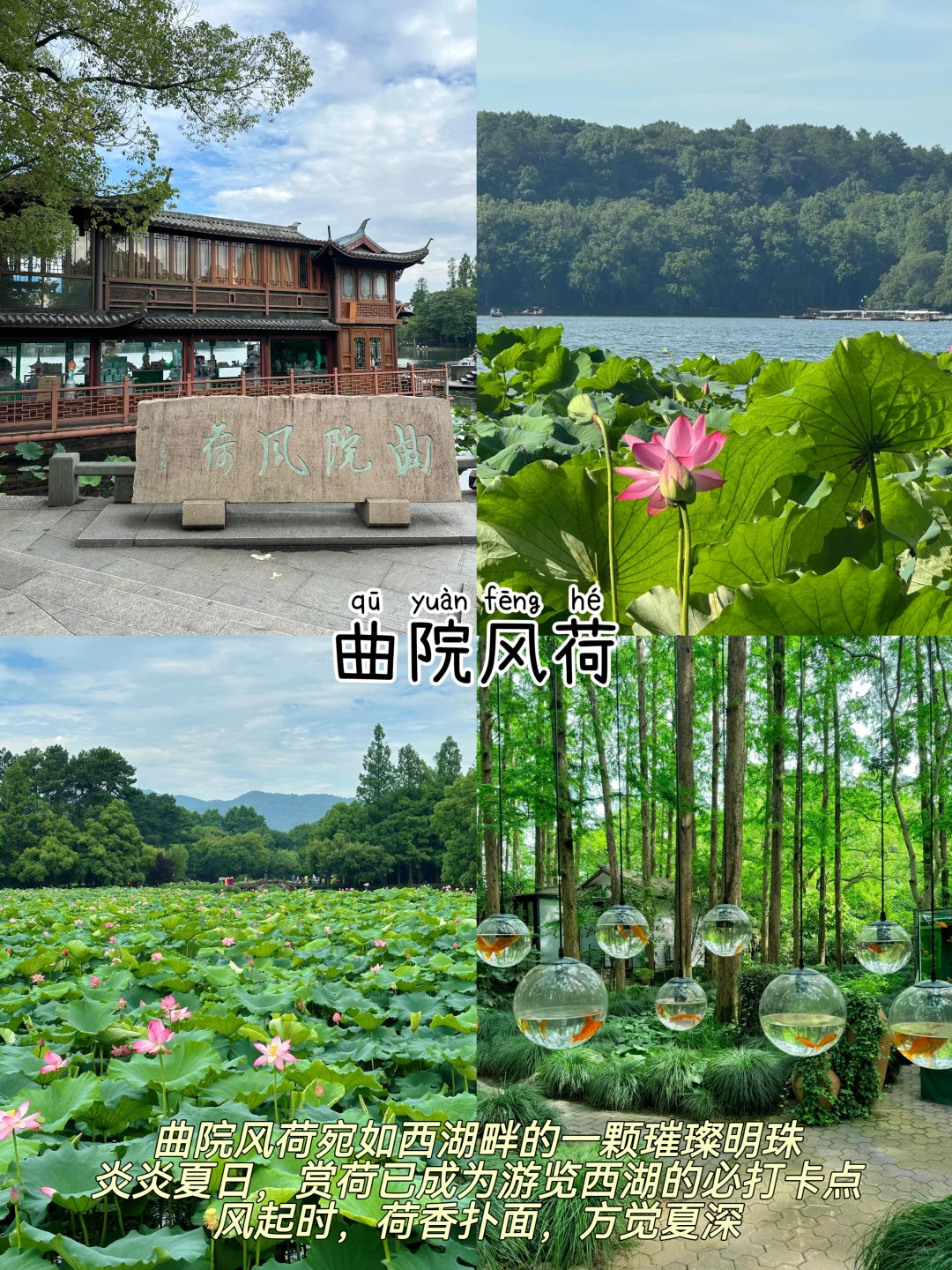 杭州📍两天一夜｜不废腿版保姆级逛吃攻略‼️